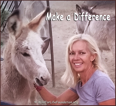 Make a Difference